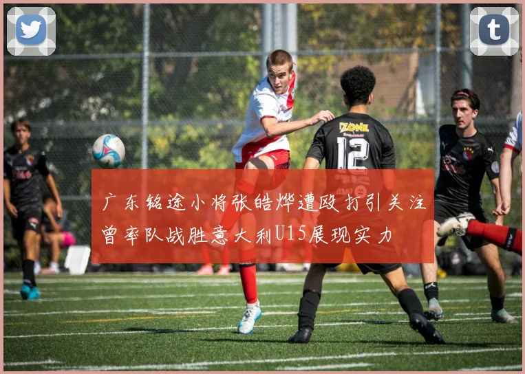 广东铭途小将张皓烨遭殴打引关注曾率队战胜意大利U15展现实力